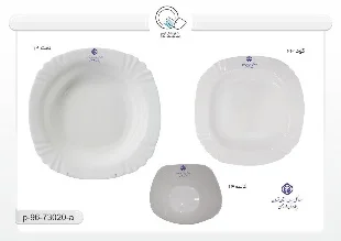 ظروف اختصاصی — دیاکو