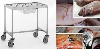 میز شستشوی ماهی — دیاکو